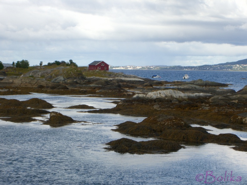 Norvegia2009_028.jpg