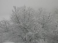 IMG067