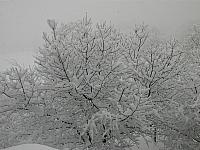 IMG068