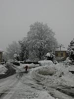 IMG076