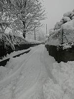 IMG078
