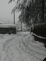IMG079