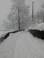 IMG080