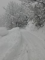 IMG081