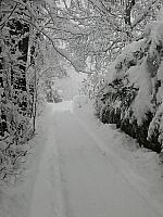 IMG082