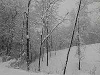 IMG085