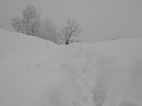 IMG087