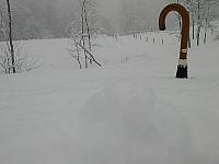IMG089