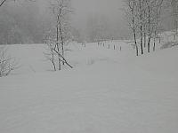 IMG090