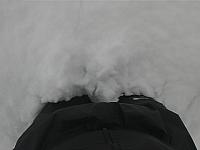 IMG091