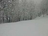IMG093