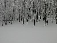 IMG094