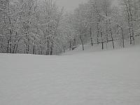 IMG096